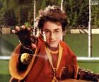 Гарри Поттер, бросать мяч